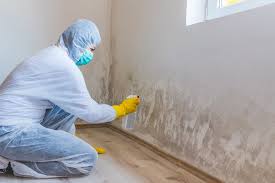 Best Mold Remediation for Vacation Homes  in Fruitridge Pocket, CA