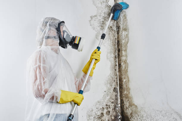 Best Mold Removal for HVAC Installations  in Fruitridge Pocket, CA