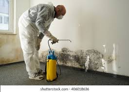 Best Mold Odor Removal Services  in Fruitridge Pocket, CA